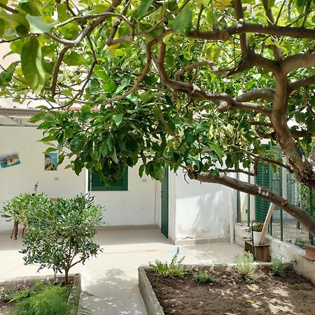 Sunny House Apartment Parghelia Exterior foto
