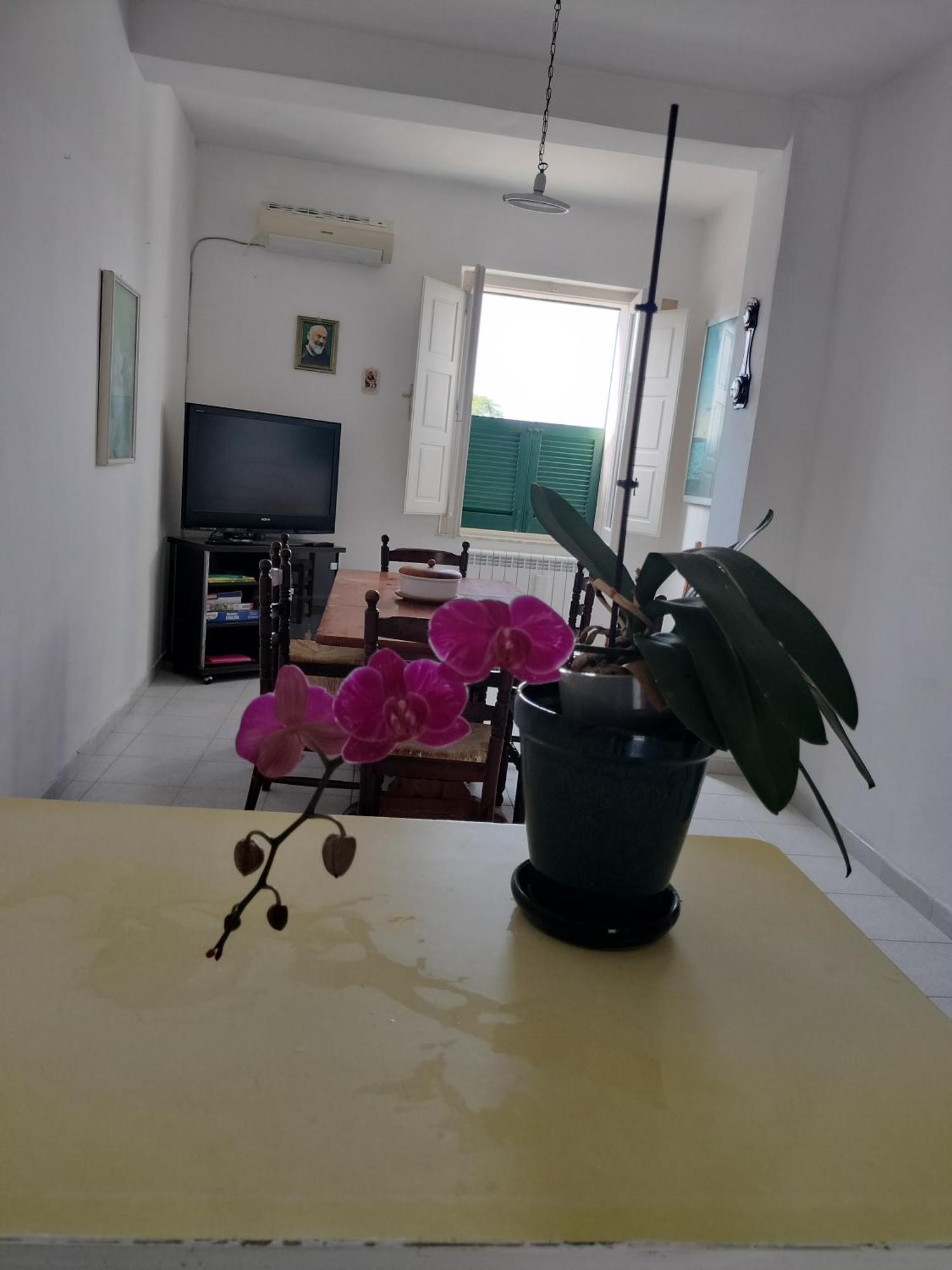 Sunny House Apartment Parghelia Exterior foto