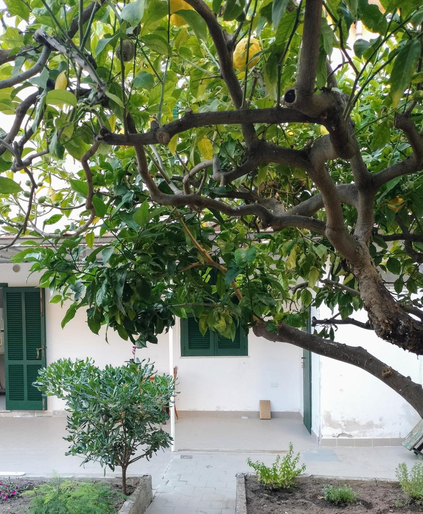 Sunny House Apartment Parghelia Exterior foto