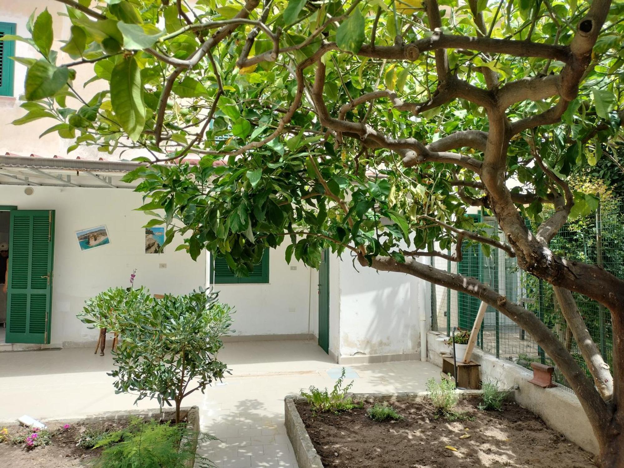 Sunny House Apartment Parghelia Exterior foto